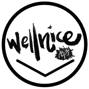 Wellnice Pops Limerick